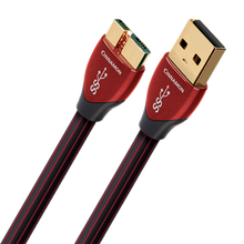 Load image into Gallery viewer, AudioQuest Cinnamon USB Digital Interconnect
