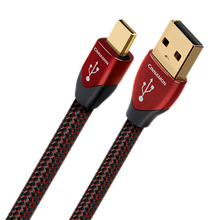 Load image into Gallery viewer, AudioQuest Cinnamon USB Digital Interconnect
