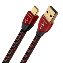Load image into Gallery viewer, AudioQuest Cinnamon USB Digital Interconnect