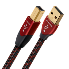Load image into Gallery viewer, AudioQuest Cinnamon USB Digital Interconnect