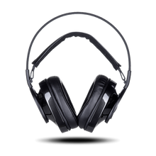 Load image into Gallery viewer, Audioquest Nightowl Carbon
