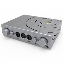 Load image into Gallery viewer, iFi Audio Pro iCAN