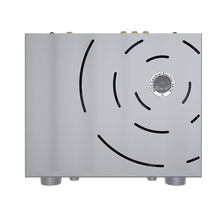 Load image into Gallery viewer, iFi Audio Pro iCAN